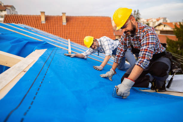 Best Roof Ventilation Installation  in Sartell, MN